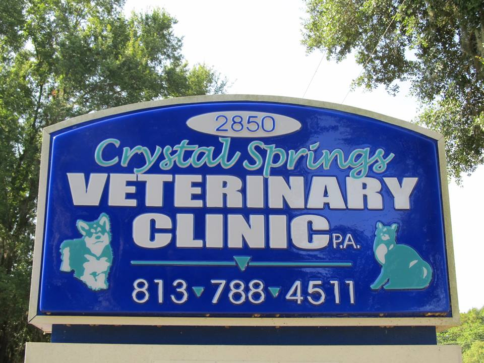 crystal springs veterinary clinic
